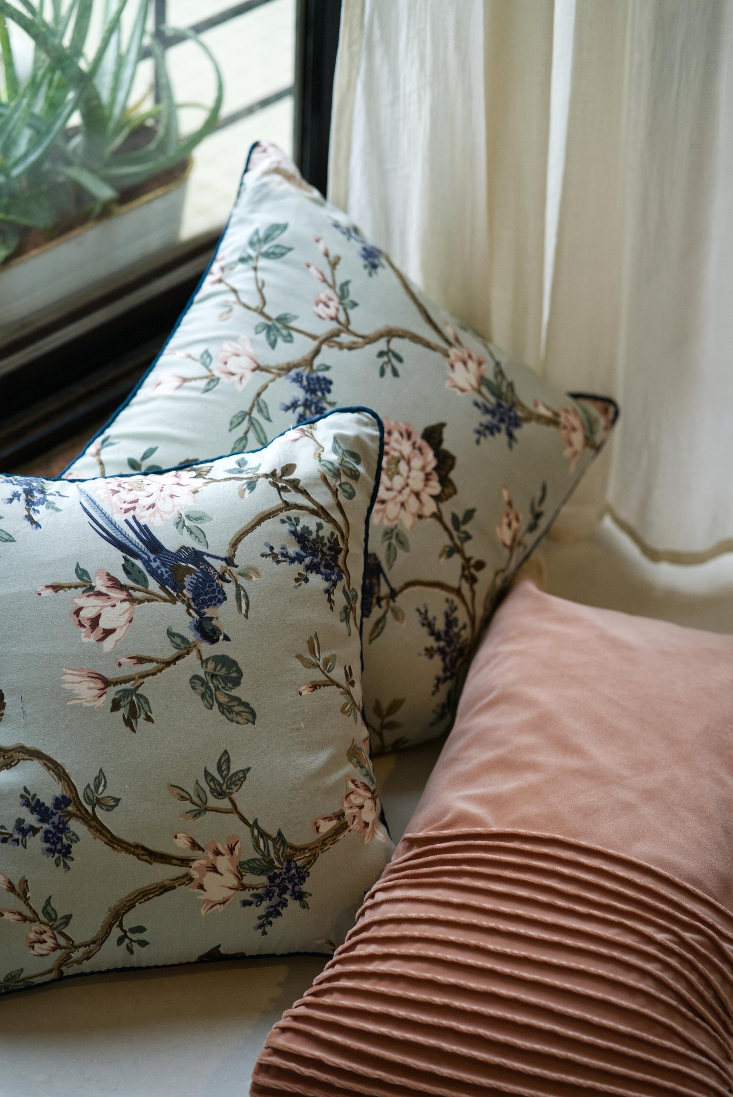 The Windsor collection