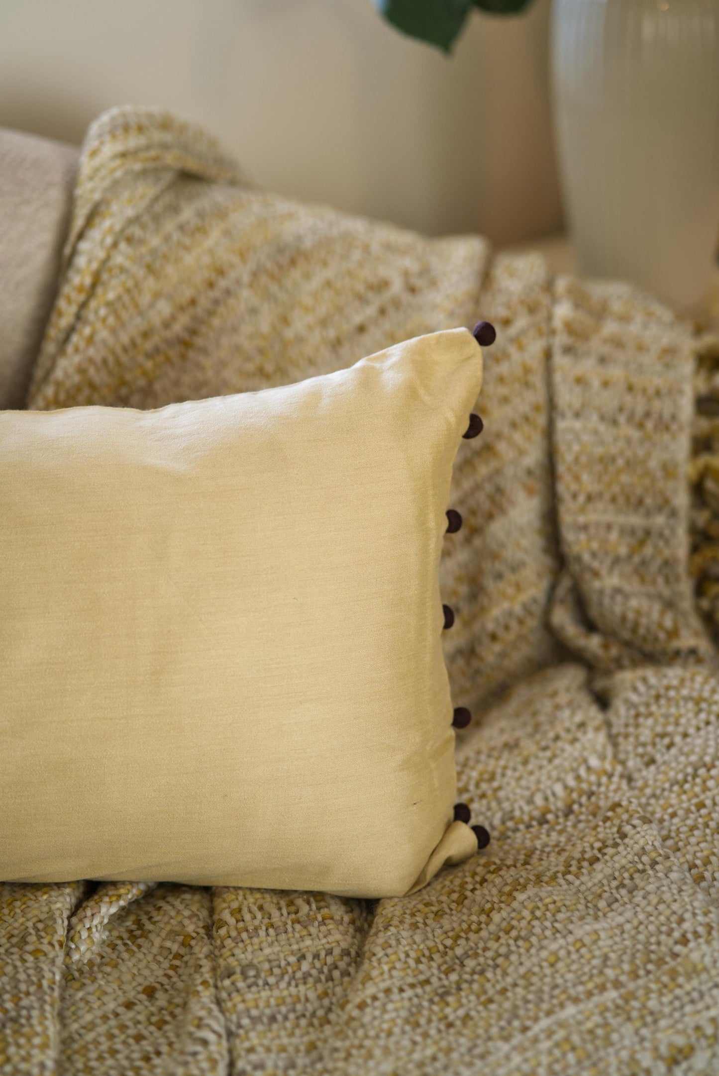 The brown regal cushion