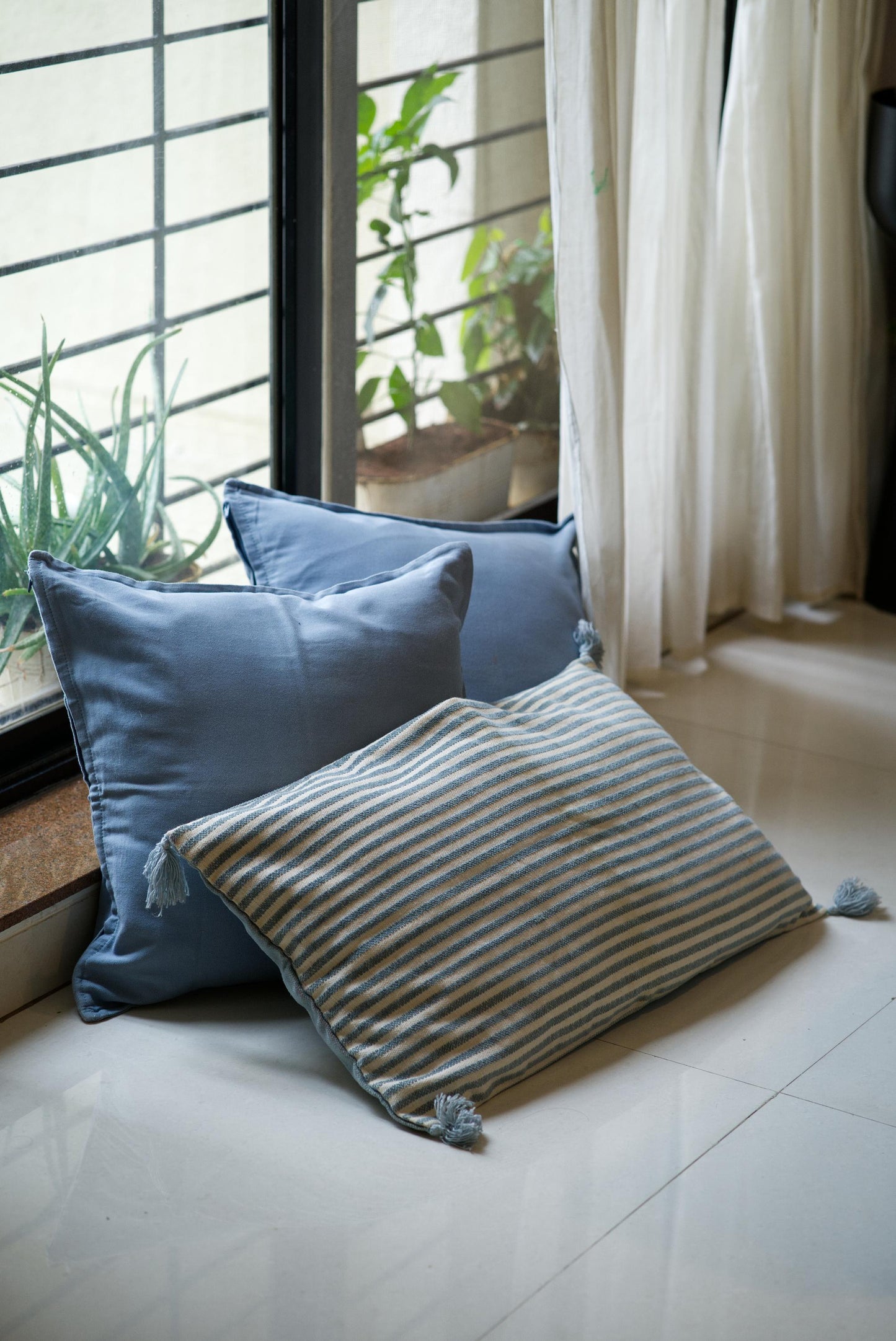 The Cloud and Coast Collection